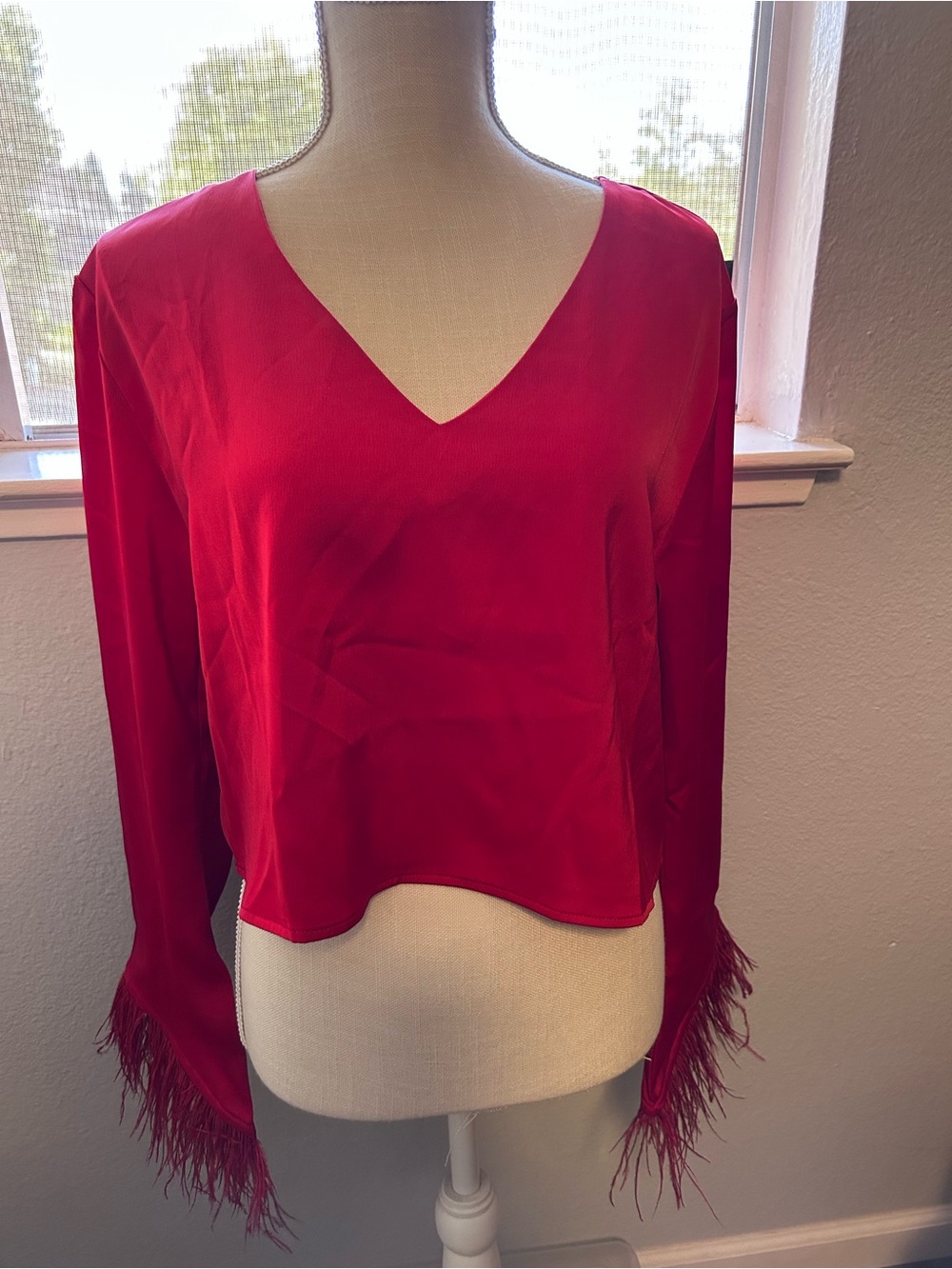 Wayf Red V-Neck Blouse with Feather Cuffs